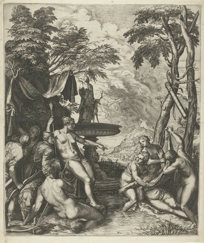 Diana scopre la gravidanza di Callisto da Cornelis Cort
