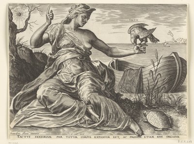 Il tatto da Cornelis Cort
