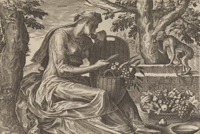 Gusto, da I Cinque Sensi, 1561 da Cornelis Cort