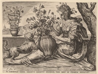 Odorato da Cornelis Cort after Frans Floris I