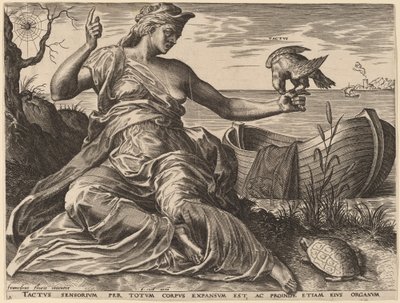 Tactus da Cornelis Cort after Frans Floris I
