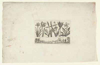 Fila di fiori sopra un paesaggio da Cornelis Danckerts (I)