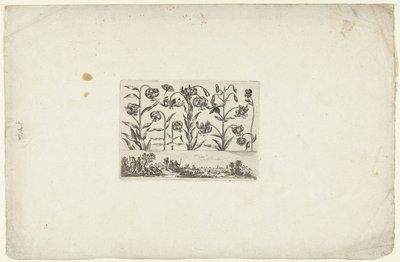 Fila di fiori sopra un paesaggio da Cornelis Danckerts (I)