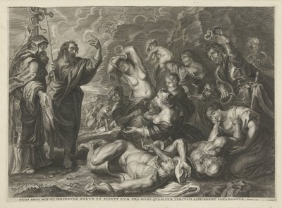Il serpente di bronzo da Cornelis Galle (I)