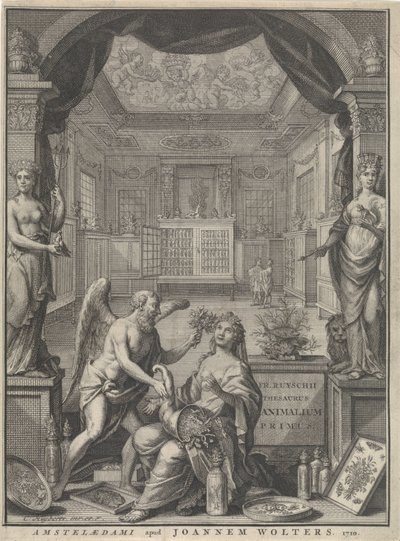 Allegoria della Natura da Cornelis Huyberts