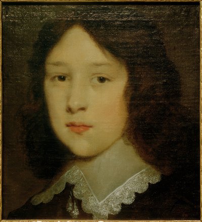 Ritratto di un giovane uomo da Cornelis Johnson van Keulen