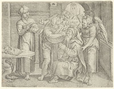Guarigione di Tobia (Storia di Tobia) da Cornelis Massijs