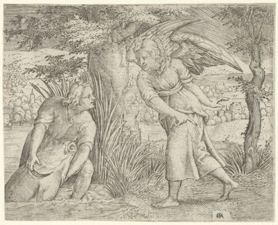 Tobia e il pesce da Cornelis Massijs