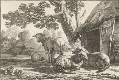 Ovile da Cornelis Ploos van Amstel (signed by artist)