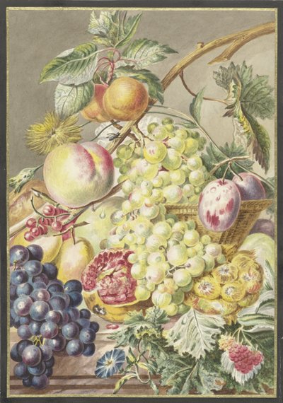 Frutta da Cornelis Ploos van Amstel