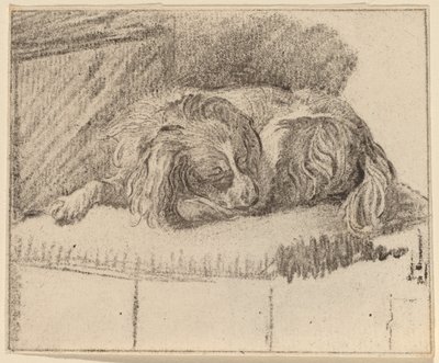 Cane sdraiato da Cornelis Ploos van Amstel