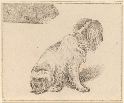 Cane Seduto da Cornelis Ploos van Amstel