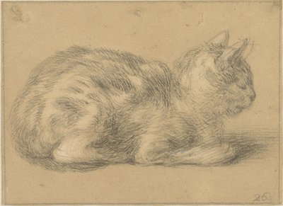 Gatto seduto, verso destra da Cornelis Saftleven (possibly)