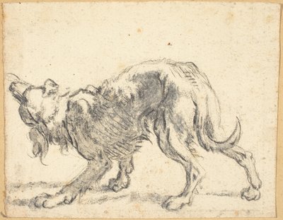 Un Cane da Cornelis Saftleven