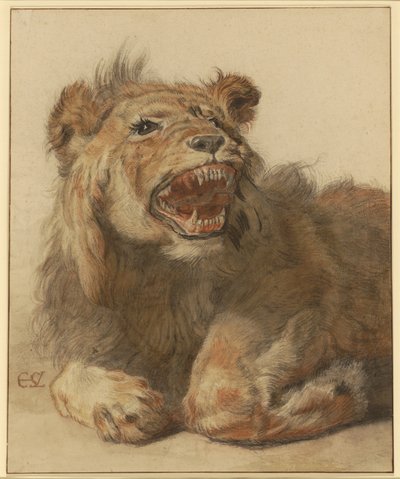 Un leone ringhiante, c.1625-33 da Cornelis Saftleven