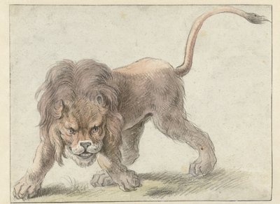 Leone da Cornelis Saftleven