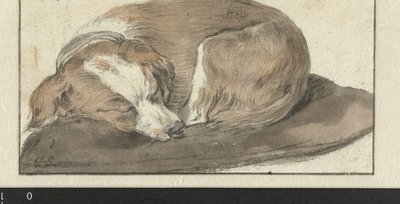 Cane che dorme da Cornelis Saftleven