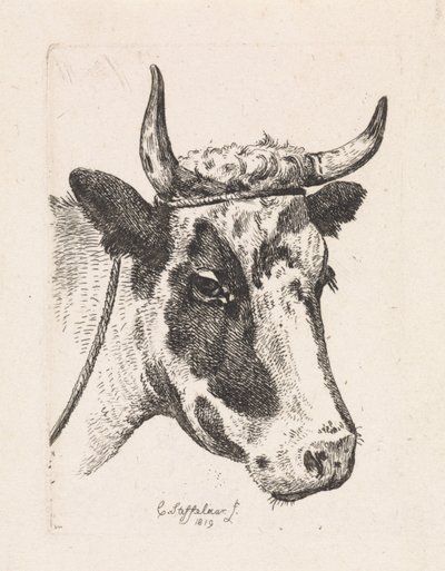 Testa di una mucca maculata da Cornelis Steffelaar