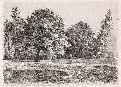 Paesaggio con alberi, lago e una donna (Quinta suite) da Cornelis Steffelaar
