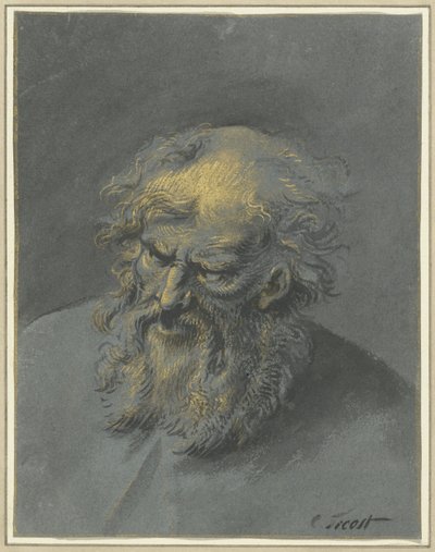 Testa di un vecchio con barba (un apostolo o filosofo) da Cornelis Troost