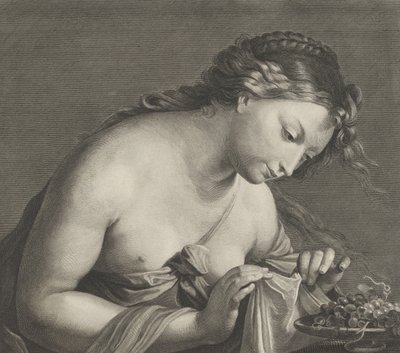 Erigone chinata su un piatto di uva e sollevando un pezzo di stoffa con entrambe le mani, ca. 1700 da Cornelis Vermeulen