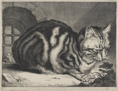 Il Grande Gatto da Cornelis Visscher (II)