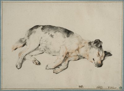  da Cornelis Visscher