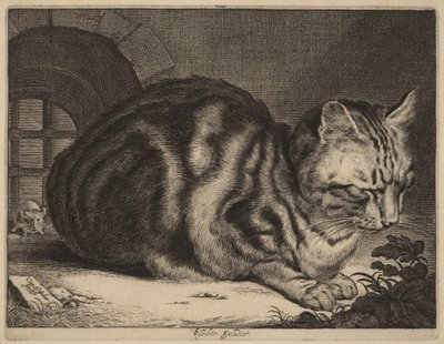 Il grande gatto da Cornelis Visscher