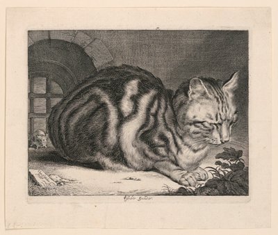 Il grande gatto da Cornelis Visscher