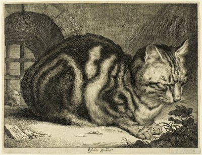 Il grande gatto da Cornelis Visscher
