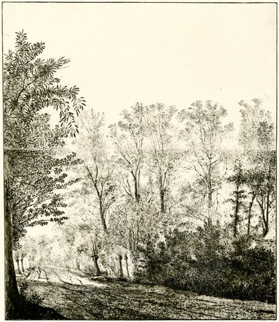 Sentiero attraverso una foresta da Hendrick Cornelisz. Vroom