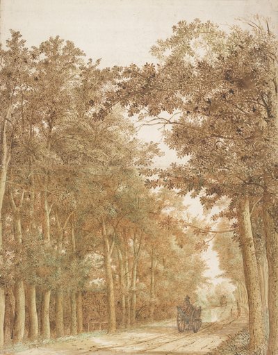 Sentiero attraverso una foresta da Hendrick Cornelisz. Vroom
