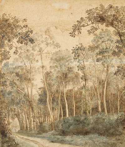 Paesaggio boscoso da Hendrick Cornelisz. Vroom