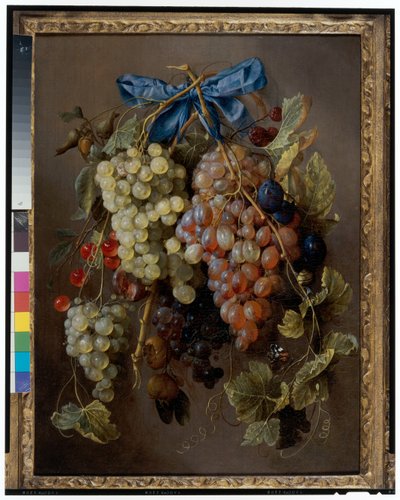 Natura morta di uva, ciliegie e prugne appese a un chiodo con un nastro blu da Cornelis de Heem