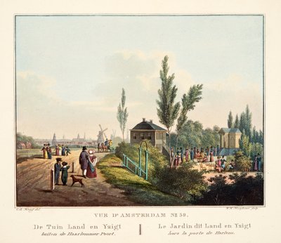 Vue d