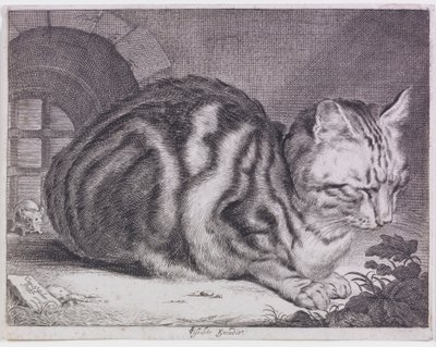 Il grande gatto da Cornelis de Visscher