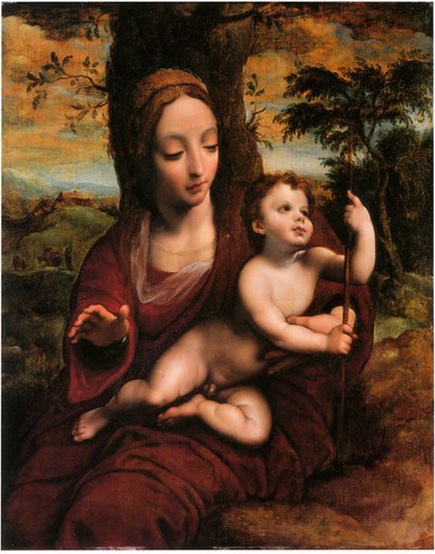 La Madonna col Bambino in un paesaggio da Cornelis van Cleve