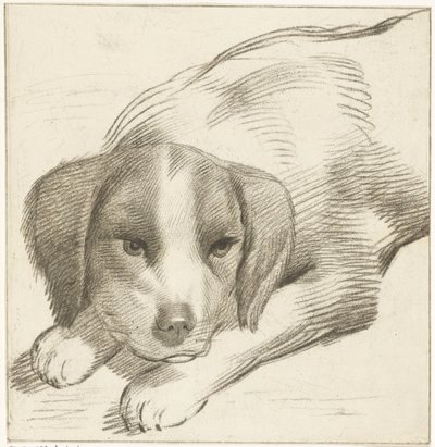 Cane sdraiato da Cornelis van Noorde