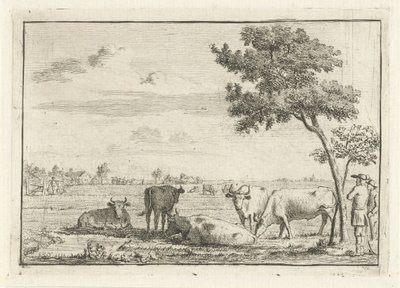 Cinque mucche in un prato da Cornelis van Noorde