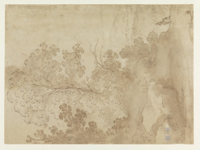 Paesaggio collinare con alberi da Cornelis van Poelenburch