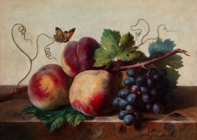 Natura morta di pesche e uva su un tavolo di marmo con una farfalla e altri insetti da Cornelis van Spaendonck