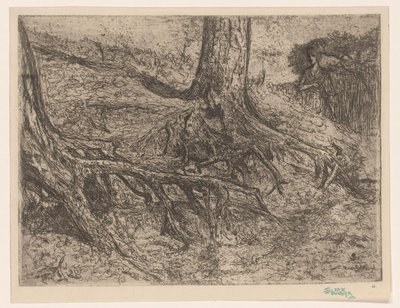 Radici di alberi da Cornelis van Steenwijk