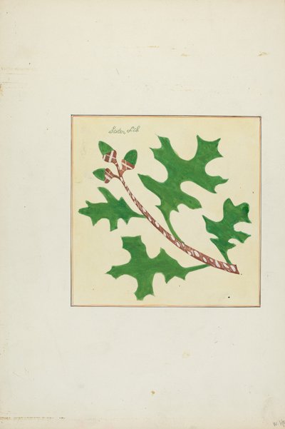 Trapunta Autografa da Cornelius Christoffels and Margaret Linsley