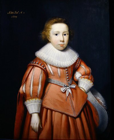 Ritratto di un giovane ragazzo da Cornelius Janssen van Ceulen