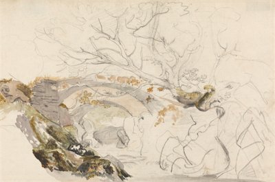 Ponte e alberi da Cornelius Varley