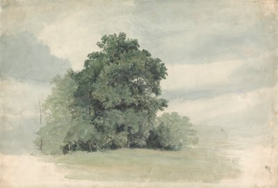 Studio di Alberi al Bordo di un Campo da Cornelius Varley