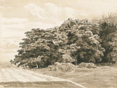 Wrottesley Hall - Il Giardino da Cornelius Varley