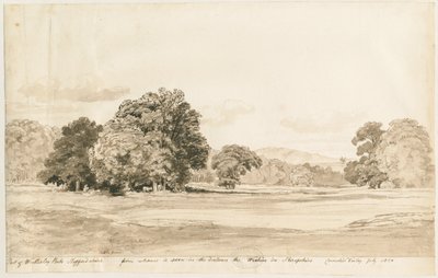 Wrottesley Park: disegno a seppia, luglio 1820 da Cornelius Varley