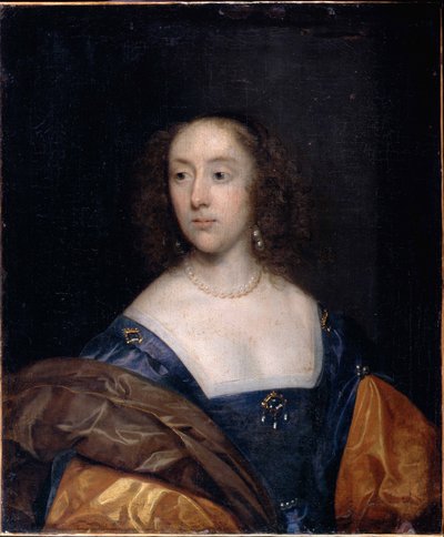 Ritratto di una signora in blu da Cornelius the elder Johnson