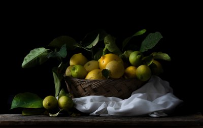 Cestino rustico per limoni da Corrado La Licata